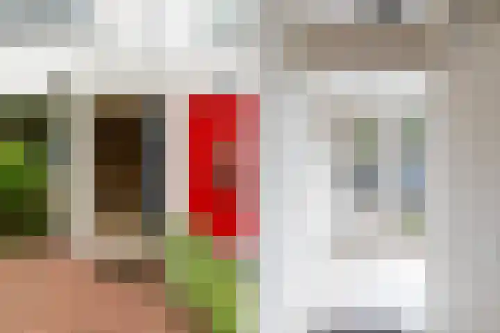 Lijnbaan 243 Zoetermeer thumbnail 5