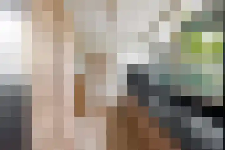 Lijnbaan 243 Zoetermeer thumbnail 9