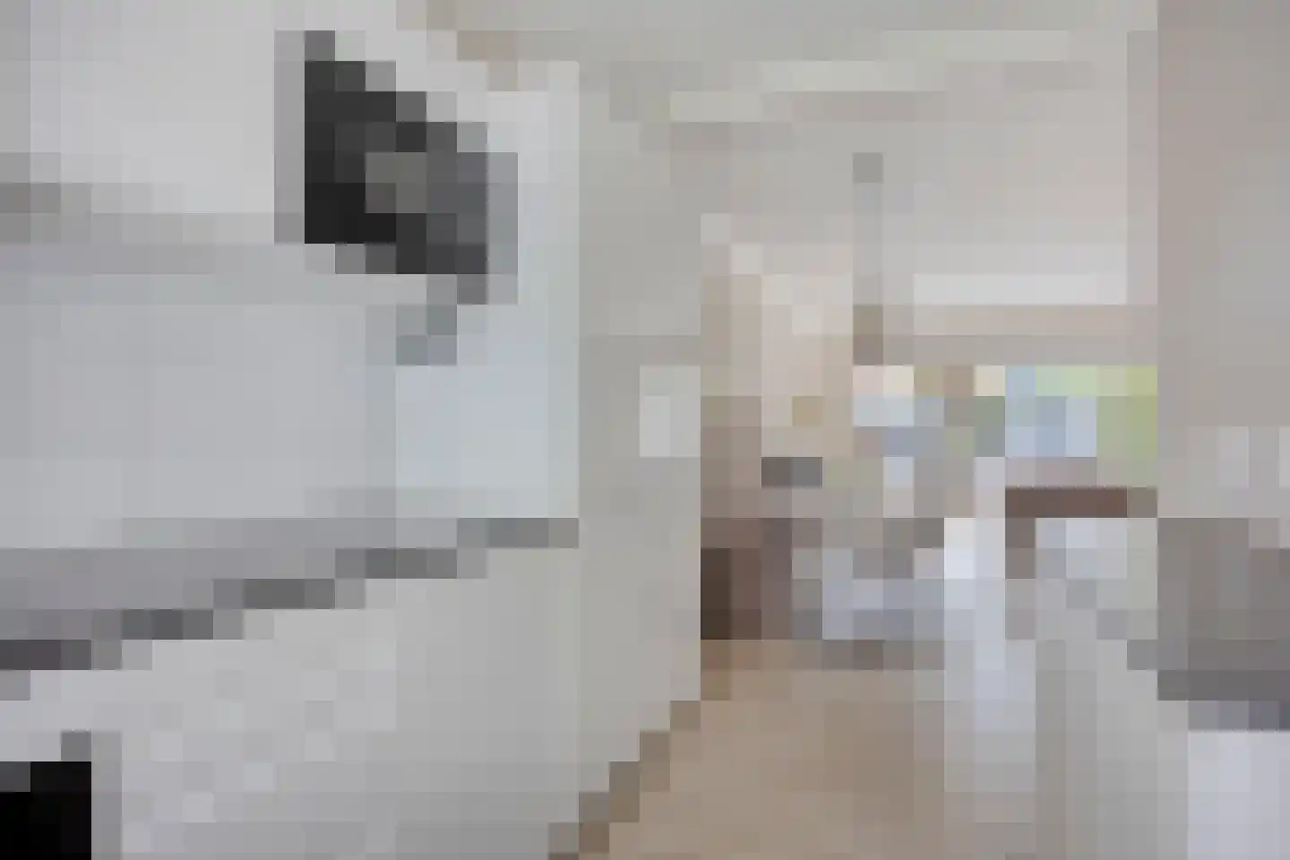 Lijnbaan 27 Zoetermeer thumbnail 15