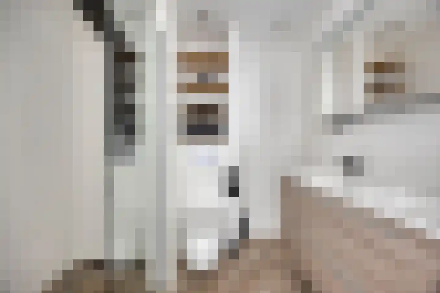 Lijnbaan 27 Zoetermeer thumbnail 4