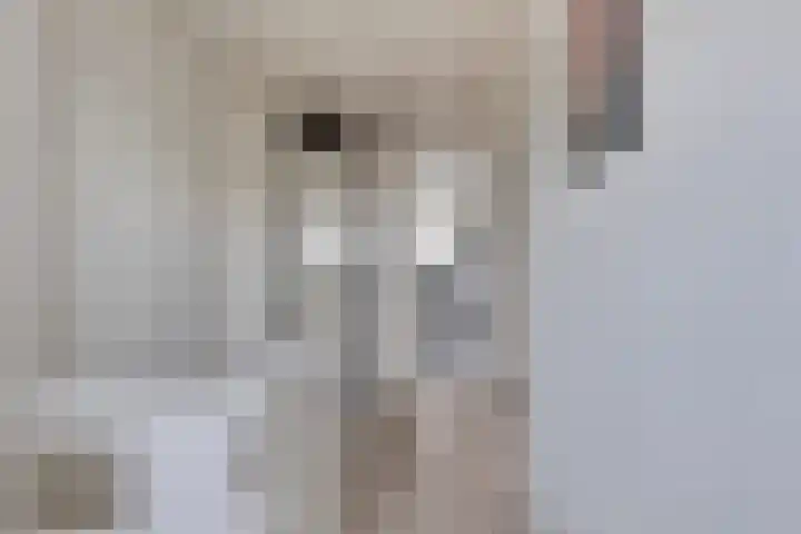 Lijnbaan 28 Goes thumbnail 16