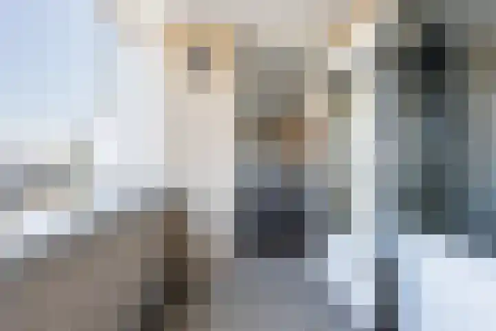 Lijnbaan 34 Werkendam thumbnail 33