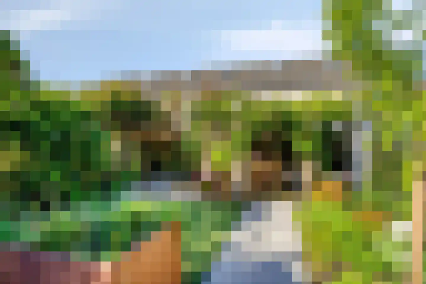 Lijnbaan 42 Oudewater thumbnail 15