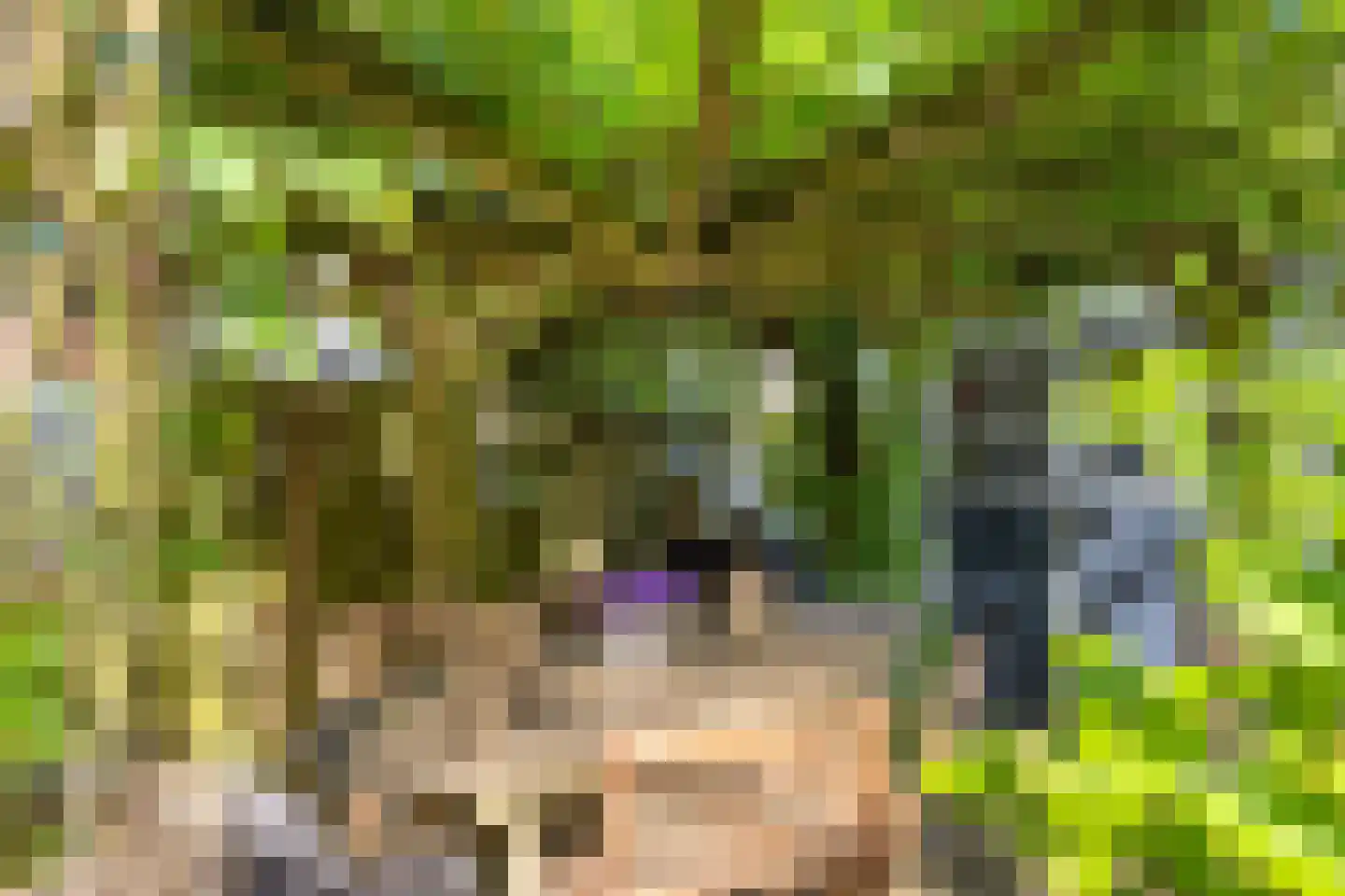 Lijnbaan 42 Oudewater thumbnail 16