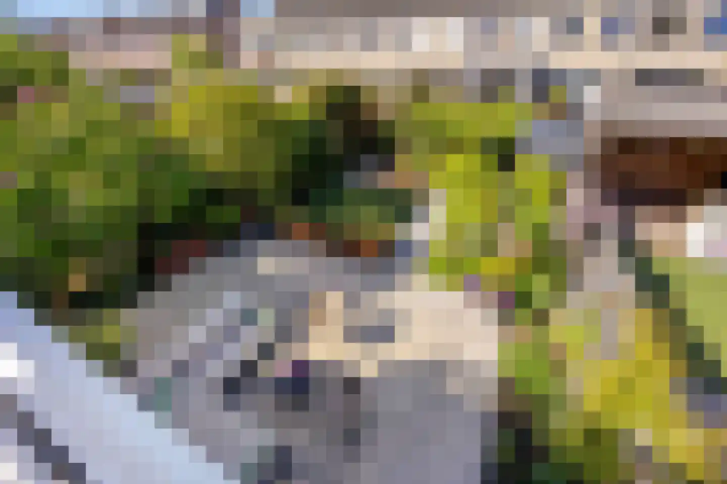 Lijnbaan 42 Oudewater thumbnail 25