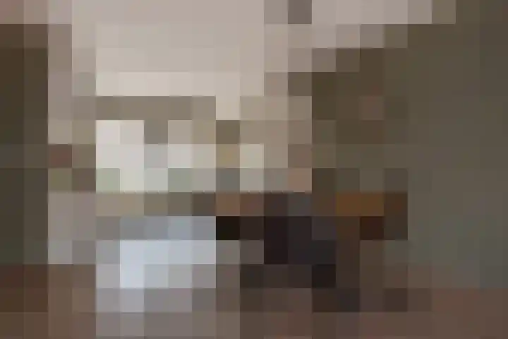 Lijnbaan 60 Zoetermeer thumbnail 15