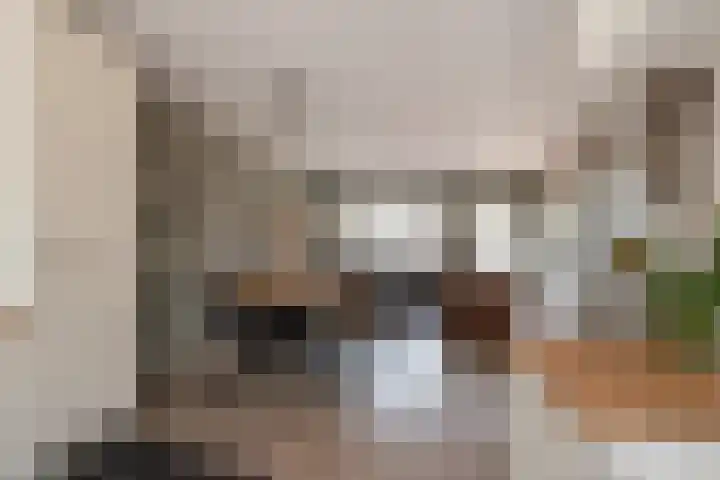 Lijnbaan 60 Zoetermeer thumbnail 19