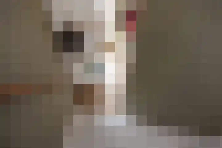 Lijnbaan 60 Zoetermeer thumbnail 21