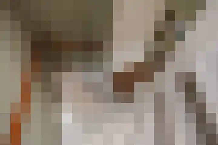 Lijnbaan 60 Zoetermeer thumbnail 29