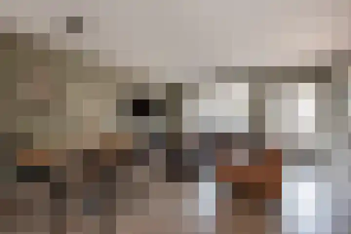 Lijnbaan 60 Zoetermeer thumbnail 7