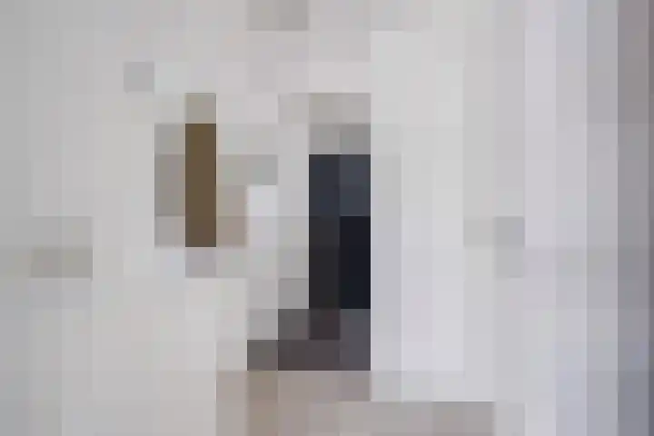 Lijnbaan 61 Zoetermeer thumbnail 13