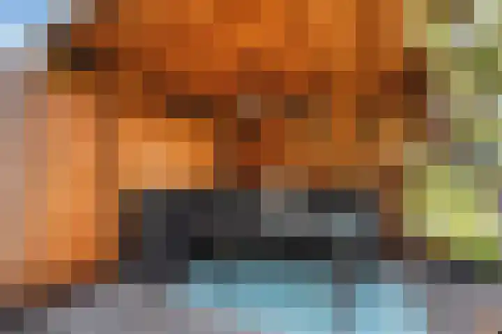 Lijnbaan 61 Zoetermeer thumbnail 20
