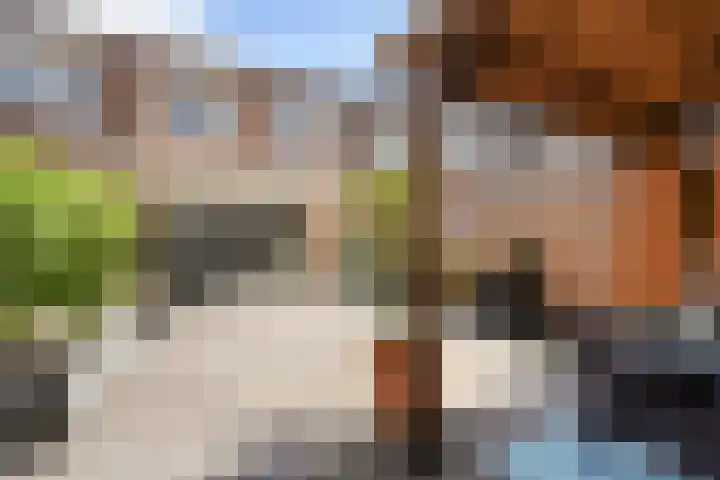 Lijnbaan 61 Zoetermeer thumbnail 23