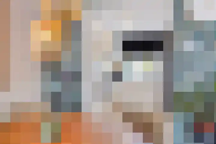 Lijnbaan 61 Zoetermeer thumbnail 30
