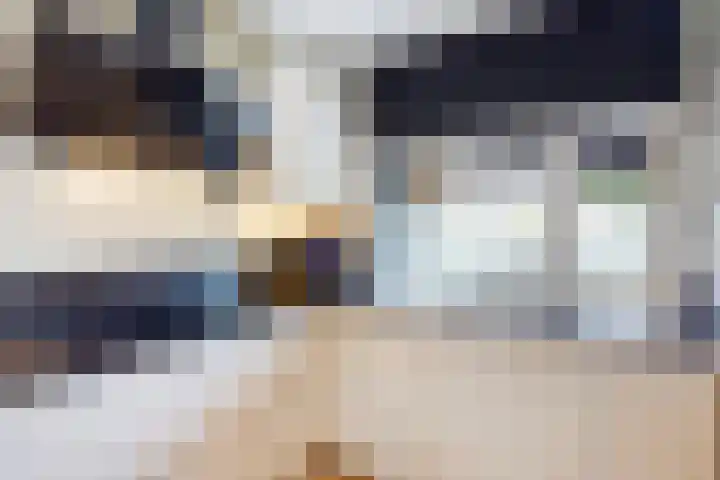 Lijnbaan 61 Zoetermeer thumbnail 32