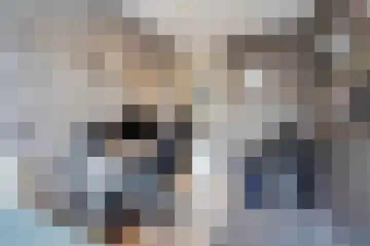 Lijnbaan 61 Zoetermeer thumbnail 38
