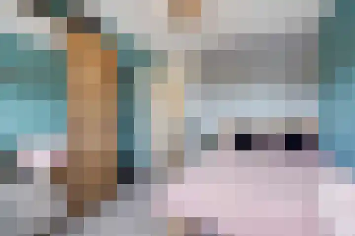 Lijnbaan 61 Zoetermeer thumbnail 42