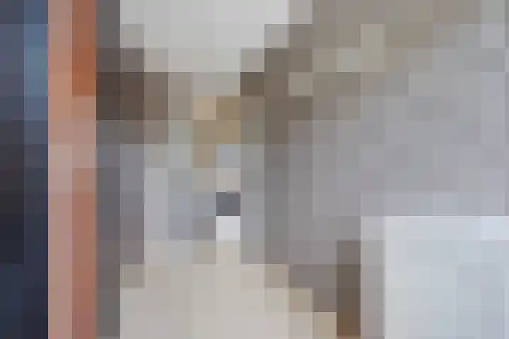 Lijnbaan 61 Zoetermeer thumbnail 44