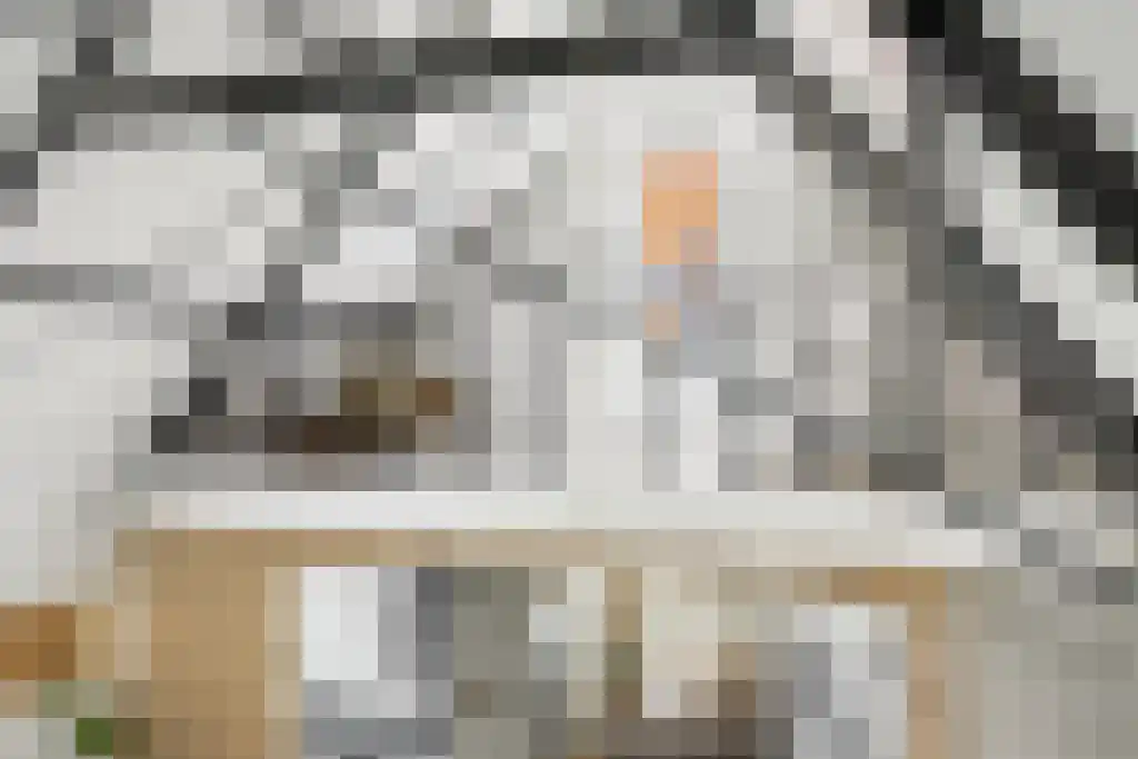 Lijnbaan 62 Lemmer thumbnail 19