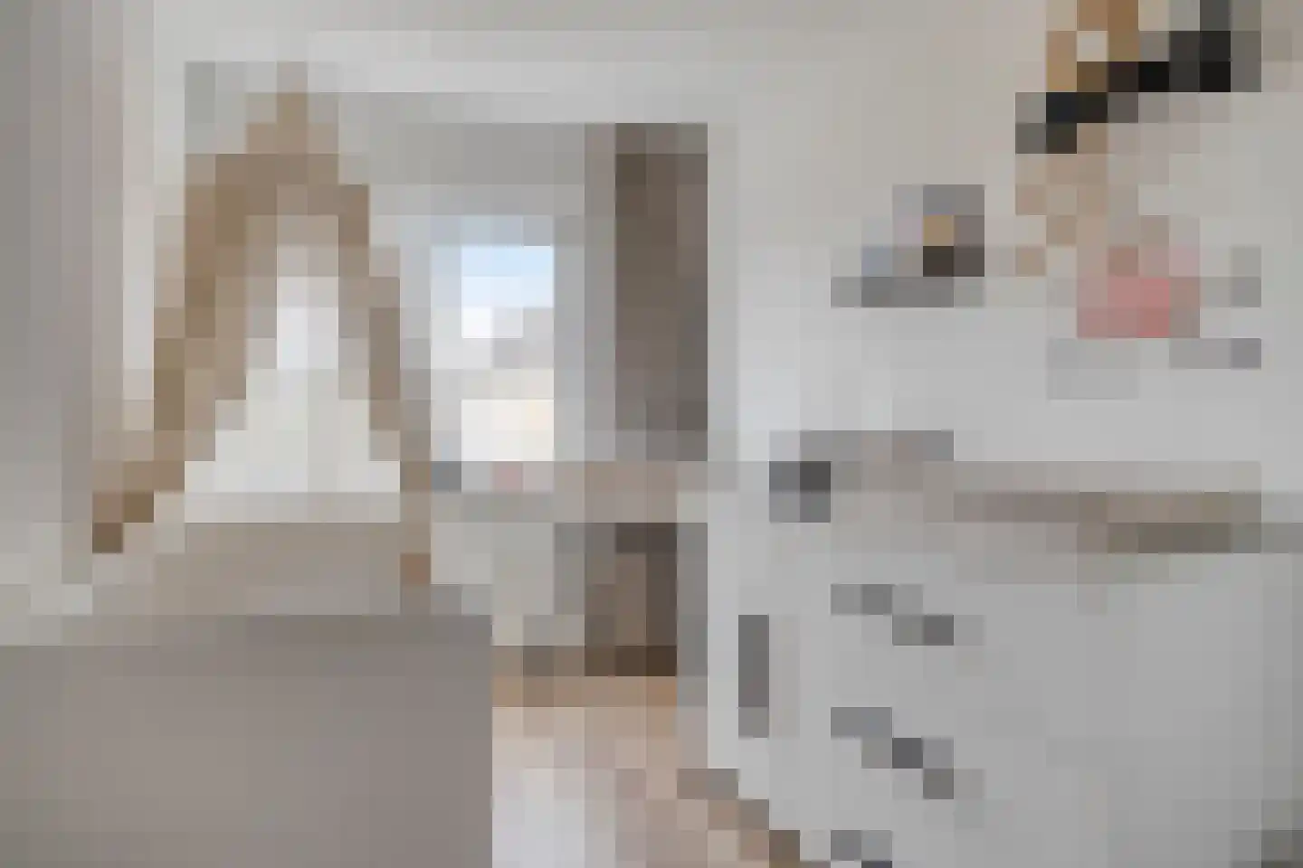 Lijnbaan 63 Zoetermeer thumbnail 27