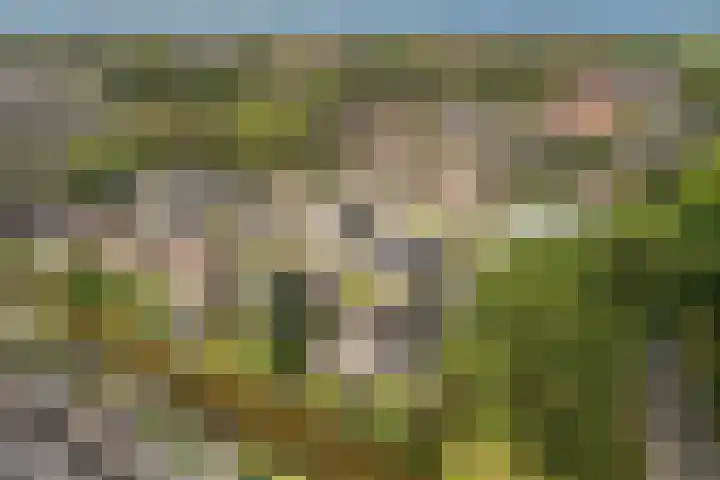 Lijnbaan 7 Oudewater thumbnail 11