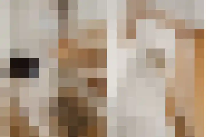 Lijnbaan 7 Oudewater thumbnail 17