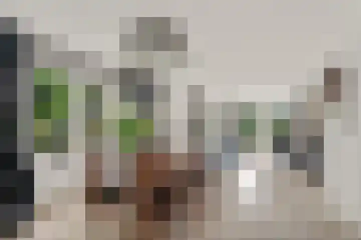 Lijnbaan 7 Oudewater thumbnail 26