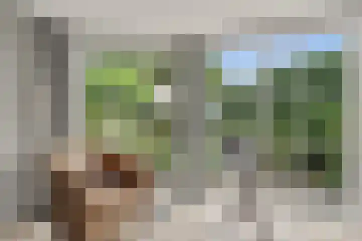 Lijnbaan 7 Oudewater thumbnail 28
