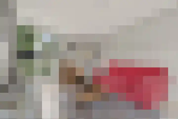 Lijnbaan 7 Oudewater thumbnail 30