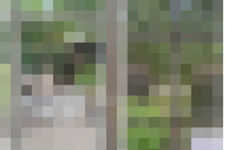 Lijnbaan 7 Oudewater thumbnail 35