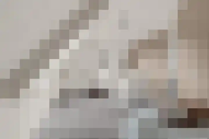 Lijnbaan 7 Oudewater thumbnail 48