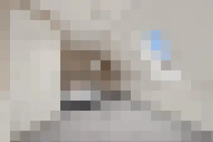 Lijnbaan 7 Oudewater thumbnail 49