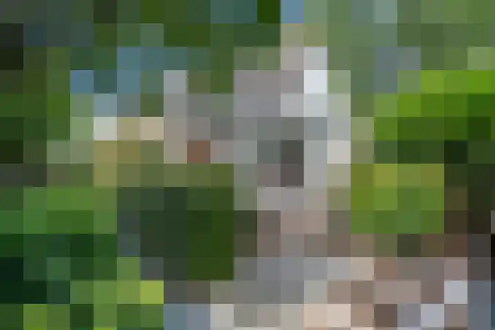 Lijnbaan 7 Oudewater thumbnail 57