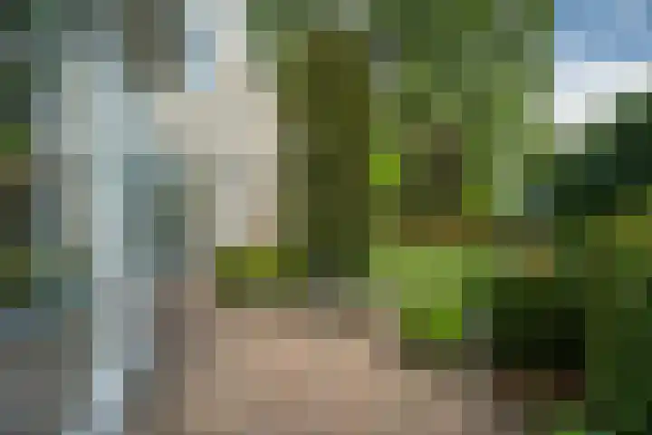 Lijnbaan 7 Oudewater thumbnail 58