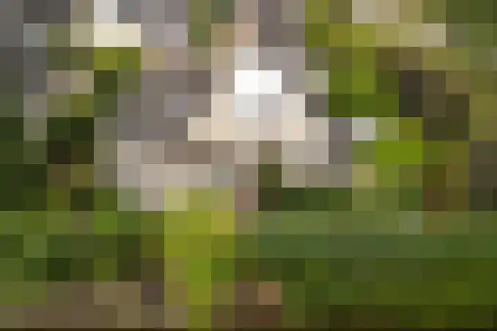 Lijnbaan 7 Oudewater thumbnail 6