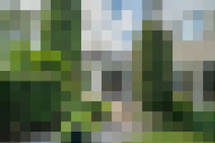 Lijnbaan 7 Oudewater thumbnail 60
