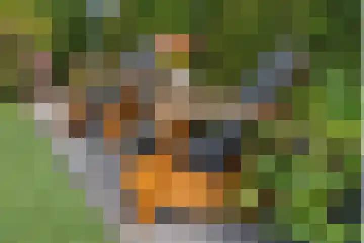Lijnbaan 7 Oudewater thumbnail 61