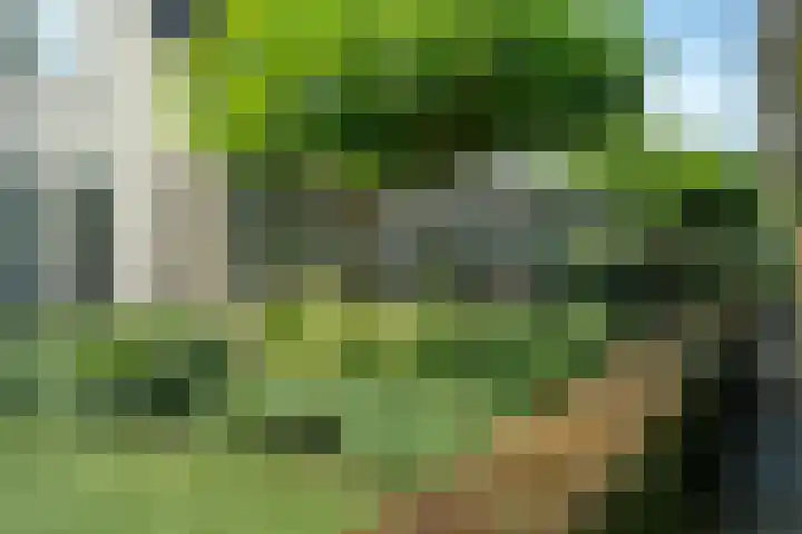 Lijnbaan 7 Oudewater thumbnail 62