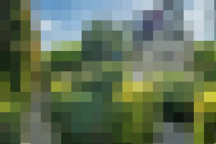 Lijnbaan 7 Oudewater thumbnail 68
