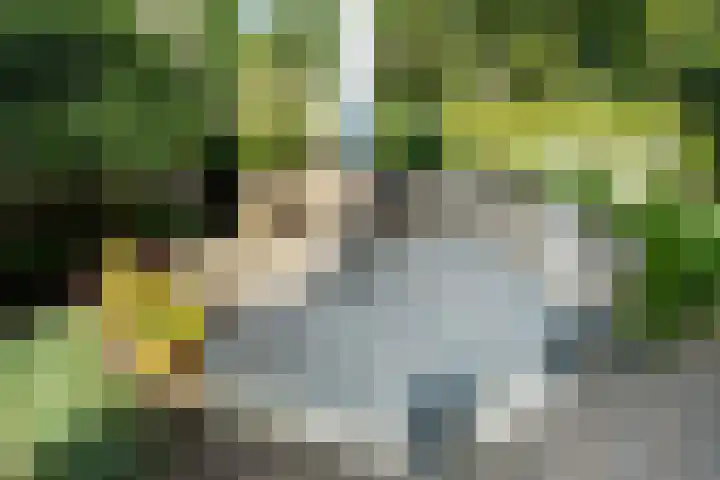 Lijnbaan 7 Oudewater thumbnail 70