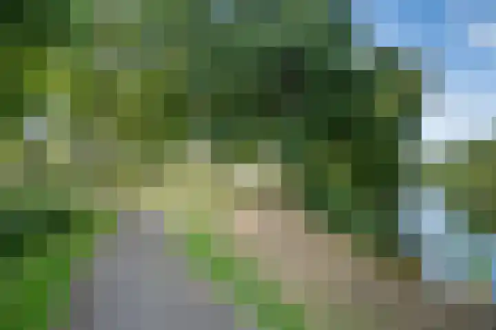 Lijnbaan 7 Oudewater thumbnail 76
