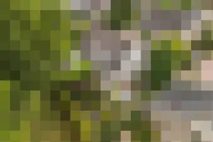 Lijnbaan 7 Oudewater thumbnail 8