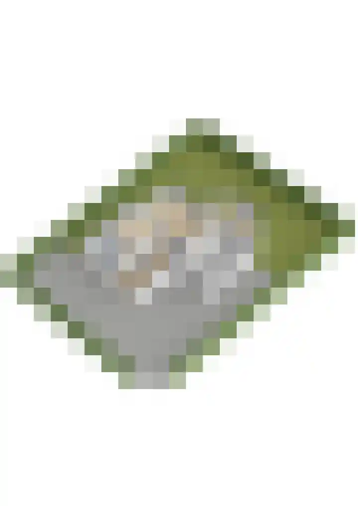 Lijnbaan 7 Oudewater thumbnail 85