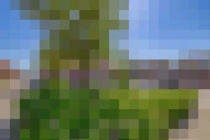 Lijnbaan 74 Lemmer thumbnail 38