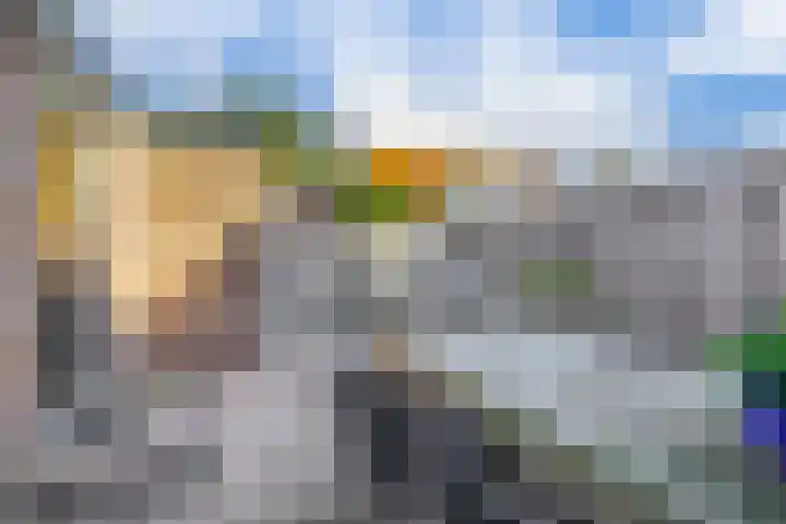 Lijnbaan 84 Lemmer thumbnail 17
