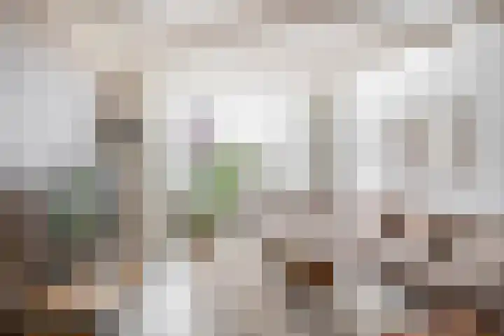 Lijnbaan 84 Lemmer thumbnail 8