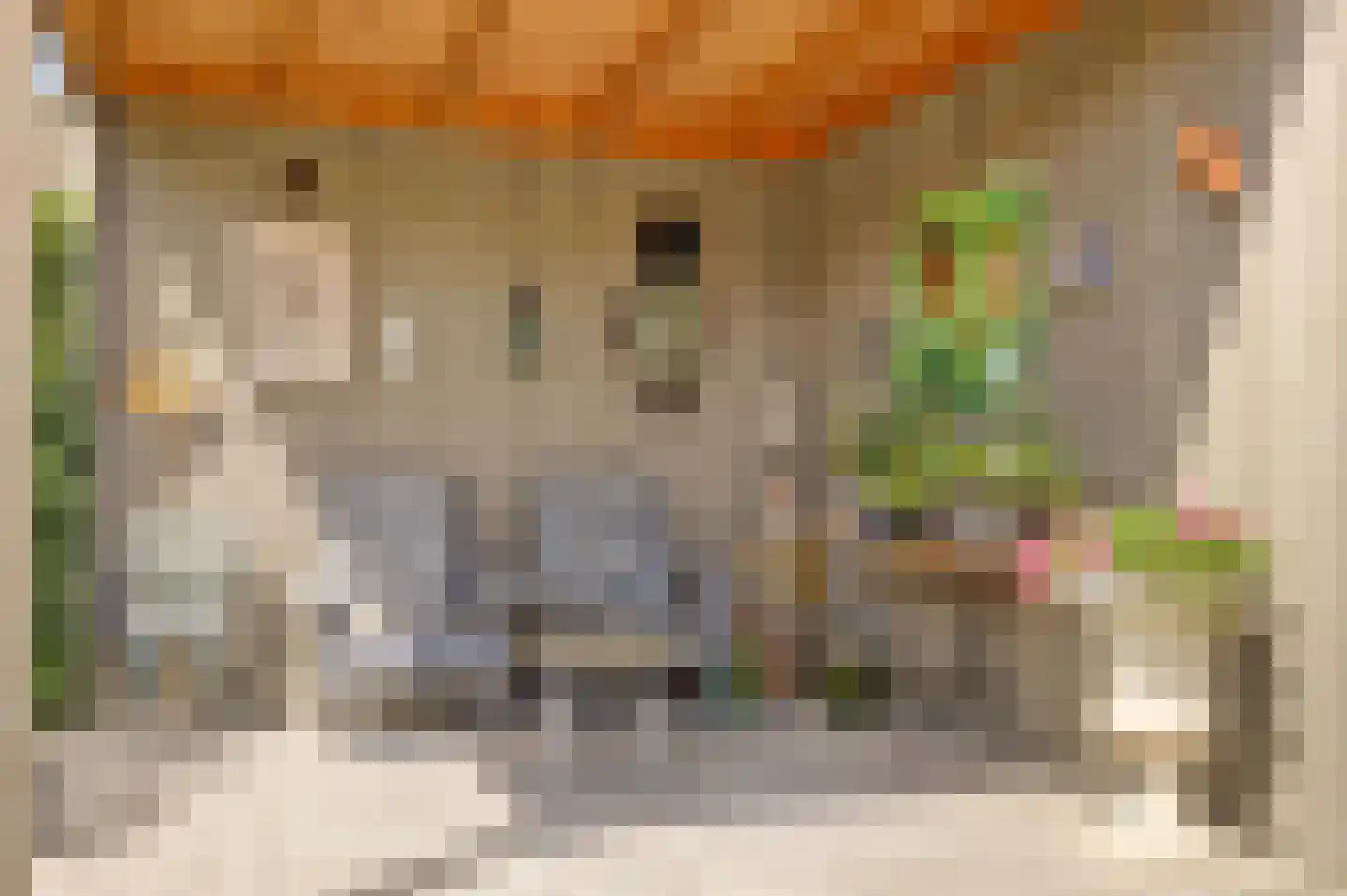 Lijnbaan 9 Kortgene thumbnail 25