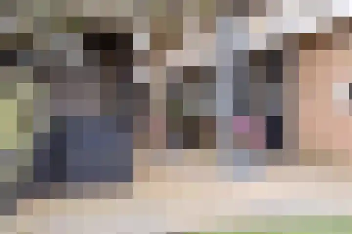Lijnbaan 9 Leek thumbnail 10