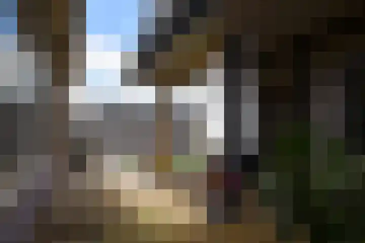 Lijnbaan 9 Leek thumbnail 11
