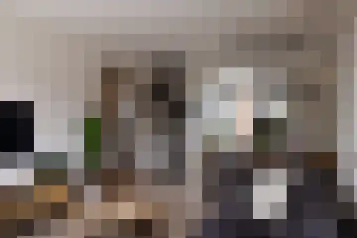 Lijnbaan 9 Leek thumbnail 18